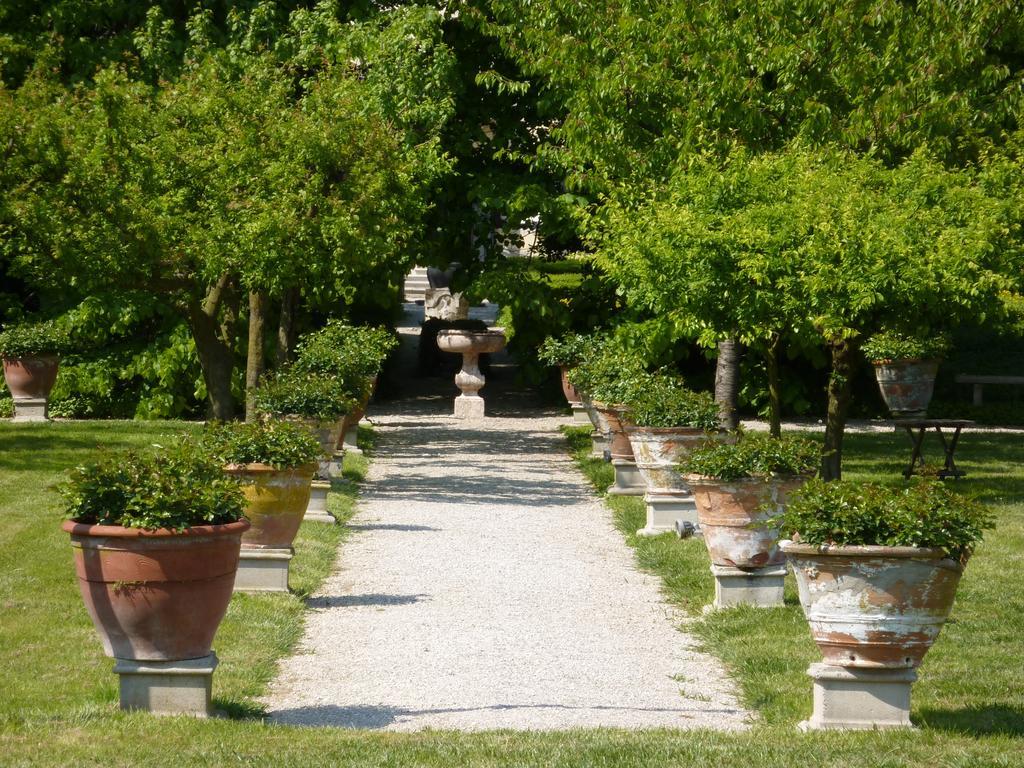 Villa Alberti Доло Экстерьер фото